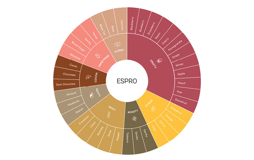 Understanding Bitterness in Coffee
